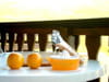 Orangisu : Etape 1