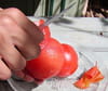 Coquilles Saint-Jacques en robe proven�ale : Etape 3