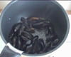 Rosace de moules � la ciboulette : Etape 1