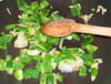 Empanadas au boeuf : Etape 1