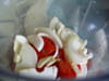 Parfait de foies de volaille, sauce � la tomate : Etape 6