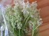 Jus de fleurs de sureau : Etape 1