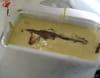 Cake � l orange et au chocolat : Etape 4