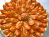 Tarte aux abricots � la cr�me abricot : Etape 4