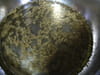 Champignon de ch�vre � la vapeur et aux noix : Etape 2