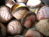 Amandes de mer aux ch�taignes : Etape 3