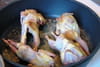 Cailles aux kakis � la sauce aux mandarines : Etape 3