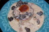Cro�te aux escargots : Etape 6