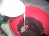 For�t noire : Etape 2
