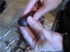Sabl�s au chocolat et fleur de sel : Etape 5
