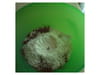 Sabl�s Patte d ours : Etape 1