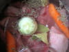 Blanquette d agneau au basilic : Etape 1
