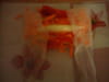 Rouleaux de printemps tout v�g�tal : Etape 3