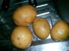 Eventails de pommes de terre : Etape 1