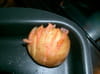 Eventails de pommes de terre : Etape 2