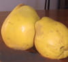 Confiture de coings et poires au miel : Etape 1