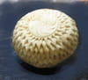 Sculpture de l�gumes : Champignon tourn� : Etape 2