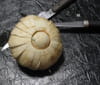 Sculpture de l�gumes : Champignon tourn� : Etape 3