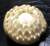 Sculpture de l�gumes : Champignon tourn� : Etape 5