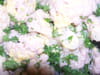 Chou-fleur chaud en salade : Etape 2