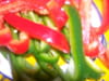 Clafoutis tomate-poivron-ch�vre : Etape 1