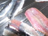 Sardines � la menthe fra�che : Etape 1