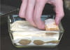 Tiramisu : Etape 4