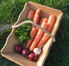 Carottes caram�lis�es : Etape 1