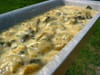 Terrine de courgettes : Etape 4