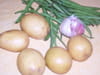 Salade de haricots verts : Etape 1