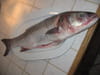 Papillote de bar farci aux  crevettes : Etape 2