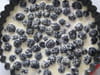 Gratin de m�res : Etape 3