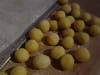 Sabl�s de parmesan : Etape 2