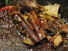 Chutney de coings et potiron fa�on tajine : Etape 1
