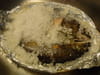 Saumon de fontaine en cro�te de sel : Etape 4