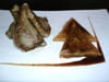 C�tes d agneau et pissaladi�re en samoussa : Etape 6