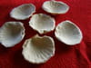 Feuillet�s de coquilles Saint-Jacques : Etape 3
