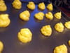 Choux au camembert : Etape 2