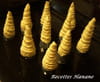 Mini cornets feuillet�s � la cr�me : Etape 1