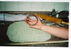 Galettes à l anis : Etape 2 Galettes à l anis : Etape 2