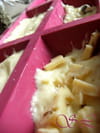 Petits cakes au fromage blanc : Etape 2