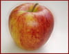 Compote pommes-mandarines : Etape 1