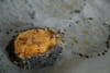 Diamants aux lardons et &agrave; la mimolette : Etape 6