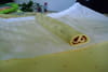 Palmiers au comt� : Etape 4