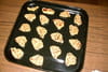 Palmiers au comt� : Etape 5