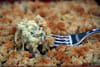 Crumble de courgettes et effiloch�e de porc s�ch� : Etape 5