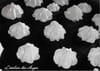 Petites meringues : Etape 2