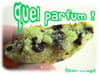 Cookies � la pistache : Etape 2