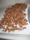 Pralines : Etape 4
