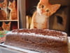 Pudding de speculoos marbr� : Etape 3